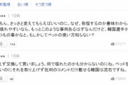 韓国紙「韓国選手、崩れた段ボールベッドを公開 ... 日本ネットユーザー "わざと壊した"と非難」韓国の反応