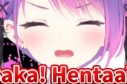 照れながら罵倒してくれる常闇トワ様がめっちゃカワイイ！！【ホロライブ】