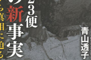 【衝撃】日本ってマジで大事故ないよなｗｗｗ →韓国人「ぐぬぬ…」