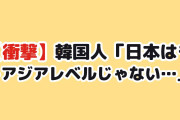 【衝撃】韓国人「日本はもうアジアレベルじゃない…」元韓国代表イ・ヨンスの“日本評”に韓国がざわつく