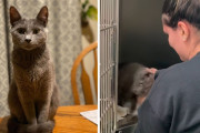 【海外】絶望の中に希望を抱き続けた飼い主、運命を変える電話が届く！