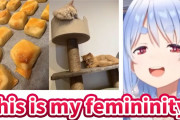 外国人アニキ「ぺこらの女子力やべぇｗｗｗｗｗｗ」