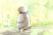 日本のママに捨てられたサルのパンチが、大人のサルから引きずり回される　【海外の反応】