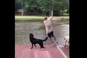 やっぱり犬って最高だよな。飼い主が溺れているところを泳いで助けにいく犬たち。海外の反応