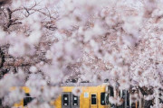「これだから俺は日本が大好きなんだ」親日外国人が風景を愛でるスレ