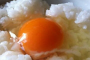 海外「日本ではご飯の上に生卵をかけるという」世界各国の意外な組み合わせの食べ物に対する海外の反応