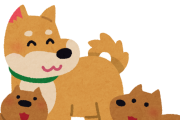 韓国人「子犬の中で一番可愛い犬種は？」