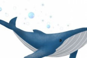 【韓国の反応】日本はなぜクジラを捕まえるのか…韓国の反応「日本は人類の敵。/日本はこれ以上悪業をするな。」