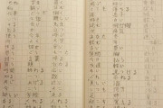 外国人「初めて覚えた日本語の漢字を練習してみたので見てくれ！」