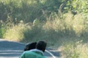 【画像】ちょっと通りますよ