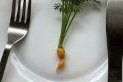 外国人「小さすぎる野菜＆果物を収穫したので見てくれｗｗｗｗ」