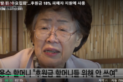 韓国の慰安婦支援団体、寄付金の82%をポッケナイナイする