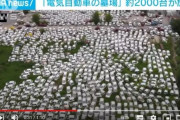 【衝撃】韓国人の反応「これがエコじゃない中国の実態！画像で暴露！」