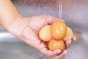 海外「日本人は家で卵を洗ってから食べているのか？」