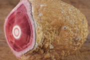 これ食べたら絶対美味いだろ…って物質を世界から集めてみたｗｗｗｗ
