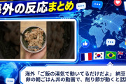 海外「ご飯の湯気で動いてるだけだよ」 納豆と生卵の朝ごはん丼の動画で、削り節が動くと話題に
