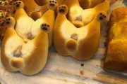 外国人「日本がとんでもない柴犬パンを作ってやがる・・・」