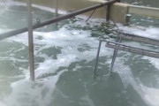 海外「アメリカの科学者が排水から高レベルのコロナウイルスを発見。南フロリダの下水はウイルスで溢れている」