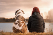 海外「心理的な問題」「犬の肉を食べている人はたくさんいる」流石に嘘でしょ！？韓国人はみんな本当に犬の肉を食べてるの？