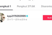【海外】BABYMETALのTikTokアカウントがきゃりーぱみゅぱみゅをフォローしてる