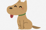 海外「この犬、僕の妹よりも賢いな（笑）」犬が経営してるお店