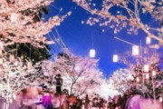 【韓国の反応】「日本旅行で最も良かったことは？」「平和すぎるスレに困惑するはww」