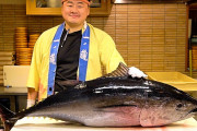 海外ユーチューバーが、マグロの解体が間近で見られるお店を紹介！