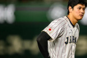 大谷翔平とチェコ代表のやり取りに世界が感動！←「美しい」（海外の反応）