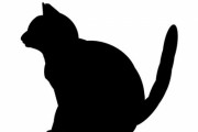 「今朝、うちの猫の横顔を見て…ほれぼれとした」幻想的な1枚