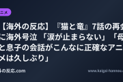 【海外の反応】『猫と竜』7話の再会に海外号泣 「涙が止まらない」「母と息子の会話がこんなに正確なアニメは久しぶり」