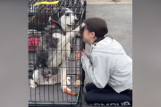 【海外】「見過ごされた老犬に訪れた奇跡のチャンス – 新しい希望が現れた！」