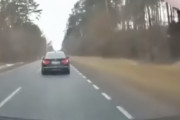 道路を突っ切るシカの群れ！車を避ける必死の姿を捉えた映像が話題に　海外の反応