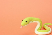 ヘビ渡ります！どうか無事でありますように… 海外の反応