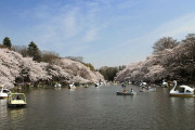 海外「三鷹の森ジブリ美術館の周辺でお勧めの過ごし方を教えてほしい！」武蔵野／三鷹に対する海外の反応