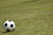 韓国人「FIFAランキング、韓国は28位に上昇…日本は？」