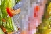 【グロ注意】韓国人「韓国の給食で出されたキムチから『カエルの死体』が発見される‥」キムチから半分に切られたカエルが発見され学校側公開謝罪　韓国の反応
