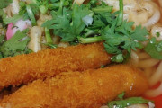 韓国人「この美味しそうなエビフライカルグクス（韓国式うどん）が264円！」→「この質でこの値段なら５つ星」　韓国の反応