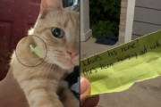 【海外】猫の首輪に見つけた手紙—愛猫が秘密の「二重生活」を送っていることが判明！