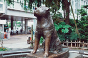 渋谷のハチ公が香港デモ隊の格好をさせられてしまう（海外の反応）