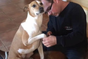 怖がりながらも辛抱強く爪切りが終わるのを待つ犬