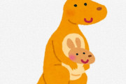 海外「う～ん…奇妙だね？何でこんなところで売ってるんだ？」日本のホームセンターで何故かカンガルーの等身大置物が（海外の反応）