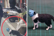 外国人「動物の面白画像を立体化する日本人アーティストが面白い！」Part2