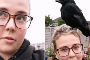 ガーデニング中、突然カラスが頭の上に！心優しい女性の対応とは…？