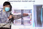 「日本が証拠だ」マスク着用で新型コロナ感染が75％削減できる可能性があるとの研究結果(海外の反応)