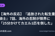 【海外の反応】『追放された転生重騎士』7話、海外の忍耐が限界に 「25分かけてカエル1匹を倒した」