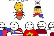 韓国人「ベトナムの嫌韓はその背後にある某国を疑わなければなりません」→「嫌韓はあの国が裏で糸を引いている可能性」　韓国の反応