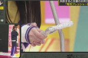 韓国人「日本人は狂っている‥」人権無視で女性アイドルを扱う日本のＴＶ番組をご覧下さい　韓国の反応