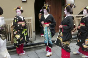 海外「芸舞妓さんきれい！日本の国宝だね！」芸舞妓さんの挨拶回りの動画に反響（海外の反応）