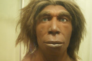 ネアンデルタール人の遺伝子が新型コロナ重症化に関与か（海外の反応）