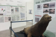 【竹島】領土・主権展示館を訪れた韓国特派員【ソ・ギョンドクも来た】